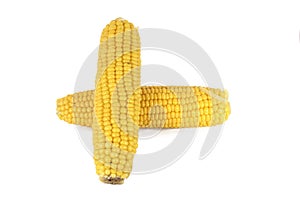 Cooked corn cob sweetcorn