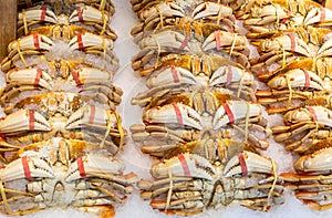 Cooked Crab for sale at the seafood marketin Seattle washington photo