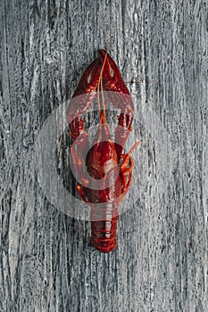 cooked crayfish on a gray table