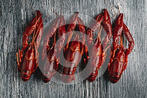 cooked crayfishes arranged in a line, high angle