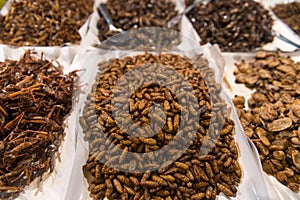 Cooked, Edible Insects and maggot for Human Consumption at a Pub photo
