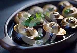 Cooked Escargots De Bourgogne snails with garlic butter and parsley on a plate in a restaurant, delicious and healthy food,