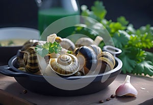 Cooked Escargots De Bourgogne snails with garlic butter and parsley on a plate in a restaurant, delicious and healthy food,