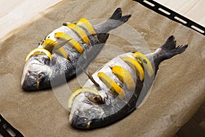 Cooked fish sea bream fish.