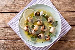 Cooked French snails, escalgot with butter, herbs, lemon and gar