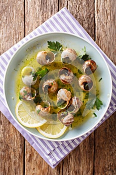 Cooked French snails, escalgot with butter, herbs, lemon and gar
