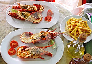 ÃÂ¡cooked fresh red lobster