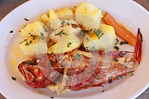 Cooked fresh red scorpionfish sarved with boiled potatoes in the greek tavern.