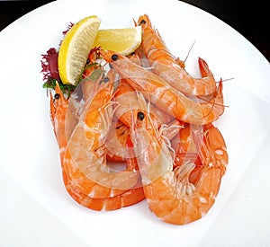 Cooked fresh Tiger prawns shrimps at buffet