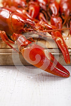 Cooked freshwater crayfish on wooden board