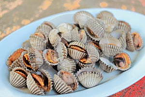 Cooked or Grilled Cockle
