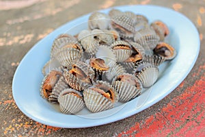 Cooked or Grilled Cockle