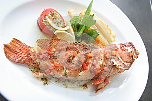 Cooked grouper fish photo