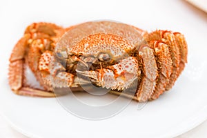 Cooked hairy crab kegani in Japanese or horsehair crab served photo