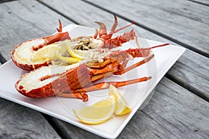 Cooked and halved New zealand crayfish photo