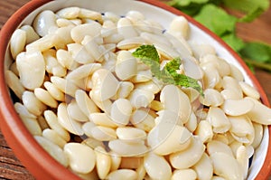 Cooked judiones or fabes, spanish flat white beans photo