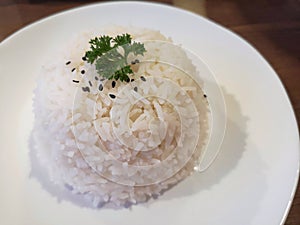 Cooked jusmin rice