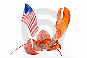 Cooked lobster with flag and raised claw