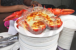 Preparing lobster with melted cheese on a white plate