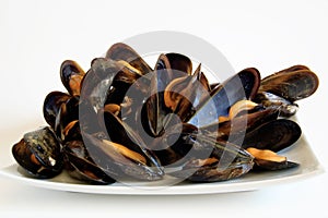 Cooked mussels