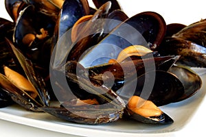 Cooked mussels