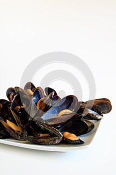 Cooked mussels