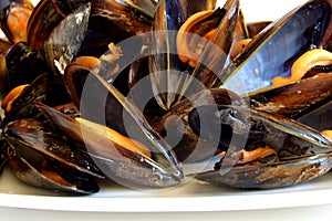 Cooked mussels