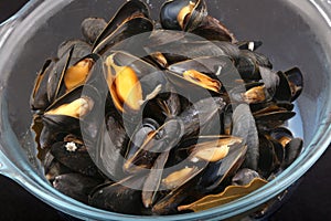 cooked mussels boiled as seafood aperitif