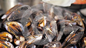 cooked mussels close up steamed clams in white wine