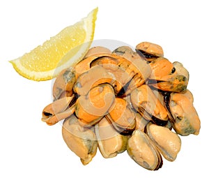 Cooked Mussels