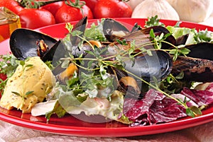 Cooked mussels with garlic butter sauce