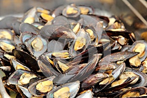 Cooked mussels or Healthy sea-food