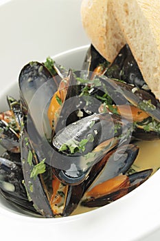 Cooked mussels meal