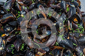 Cooked mussels (Moules Marinieres)