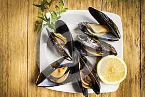 Cooked mussels with parsley and half a lemon on a white plate