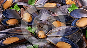 Cooked mussels with parsley and white wine close-up. Food background