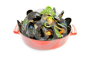 Cooked mussels in red casserole