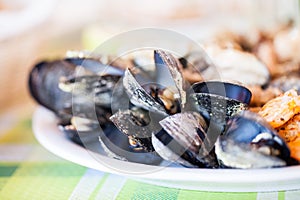 Cooked mussels, shrimps, squid and fish