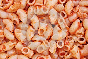 Cooked noodles or pasta or macaroni with tomato sauce photo