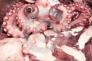 Cooked octopus