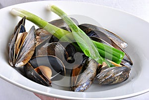 Cooked and opened mussel