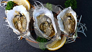 Cooked Oysters in Shell with Garlic and Lemon on Black Textured Slate Background