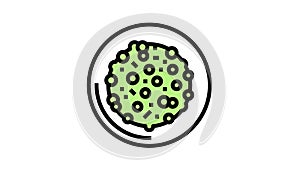 cooked peas dish color icon animation