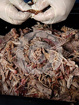 Cooked pork roast being pulled by gloved hands