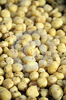 Cooked potatoes