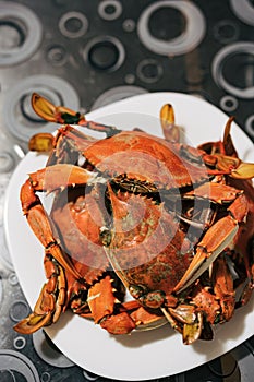 Cooked red boiled blue crabs on a plate on the table. photo