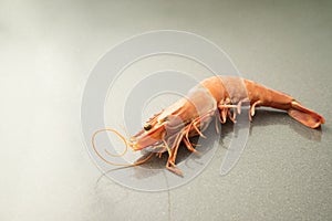 Cooked red Prawn  on a grey stone kitchentable