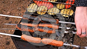 Cooked sausages on the grill with grilled vegetables in nature. Picnic