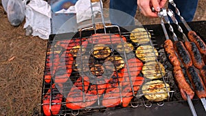 Cooked sausages on the grill with grilled vegetables in nature. Picnic