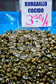 Cooked sea snails on market stall